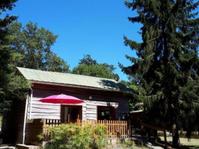 Gîte Mios, 2 pièces, 2 personnes - FR-1-440-238